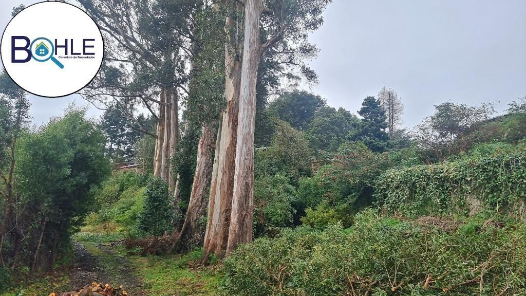 ARRIENDO - ESPACIO COMERCIAL EN PUERTO VARAS en Llanquihue - Imagen 2