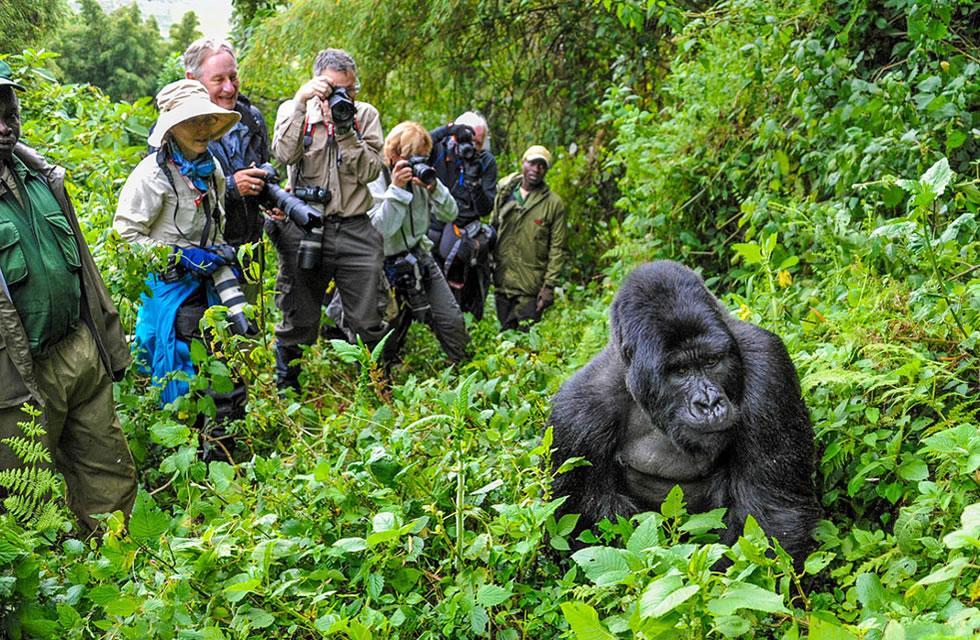 Flight booking in Kigali Rwanda | Blueberry Travel Rwanda in India - Image 1