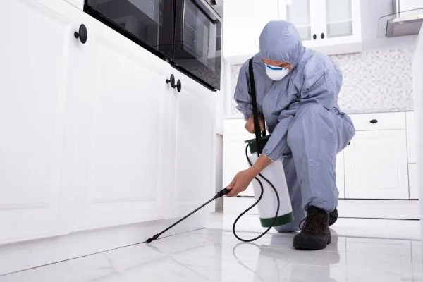 Termite Control Services in Coimbatore in Palladam - Image 1