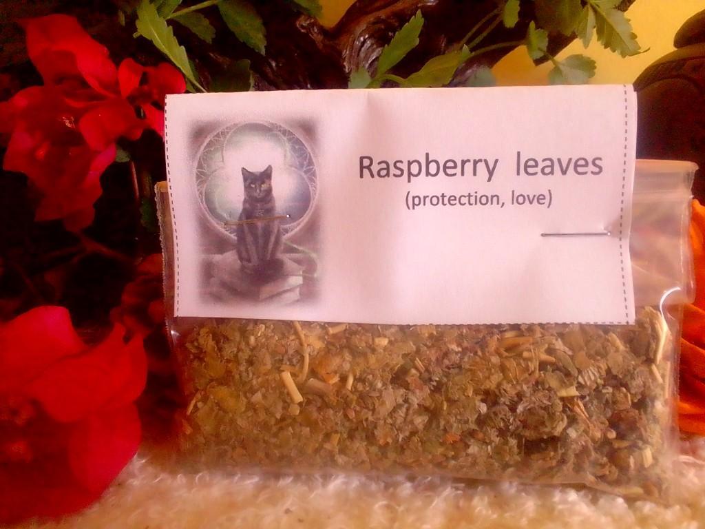 Red Raspberry Leaves (Rubus idaeus) Dried in Brits - Image 1