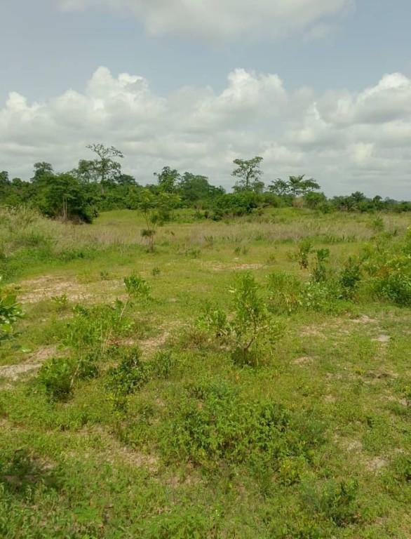 yakro terrain vente en Côte d’Ivoire - Photo 2
