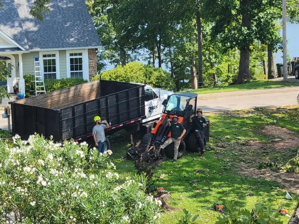 Local Tree Felling Service Near me in Randburg - Image 6