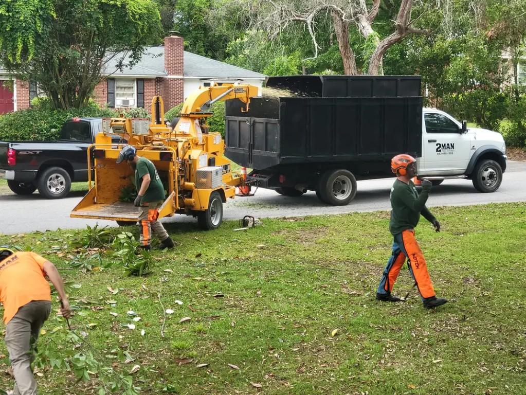 Local Tree Felling Service Near me in Randburg - Image 10