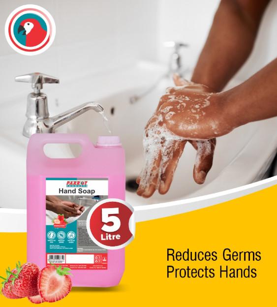 Hand Liquid Soap R171.99 for 5L in South Africa - Image 2