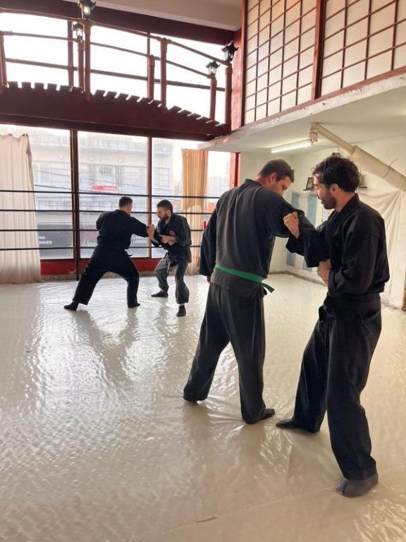Defensa Personal / Shinsei Ryu - Bujinkan Dojo en Beccar - Imagen 1