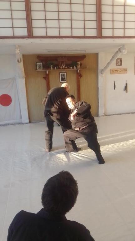 Defensa Personal / Shinsei Ryu - Bujinkan Dojo en Beccar - Imagen 5