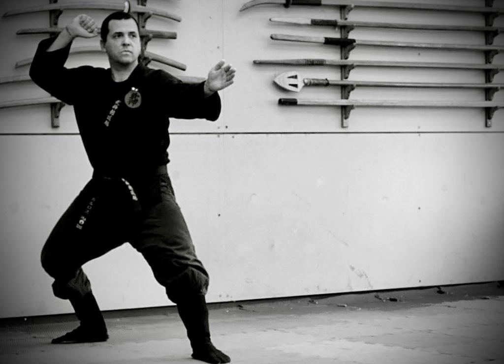 Defensa Personal / Shinsei Ryu - Bujinkan Dojo en Beccar - Imagen 8