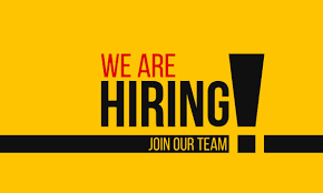 Applicants Are Invited for Semi Voice Process Executive in Saidapet - Image 1