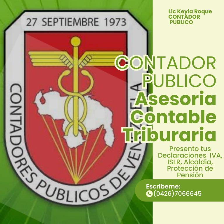 CERTIFICACIÓN DE INGRESOS / CONTADOR PÚBLICO en Caracas - Imagen 3
