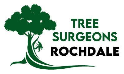 Tree Surgeons Rochdale in Wigan - Image 1