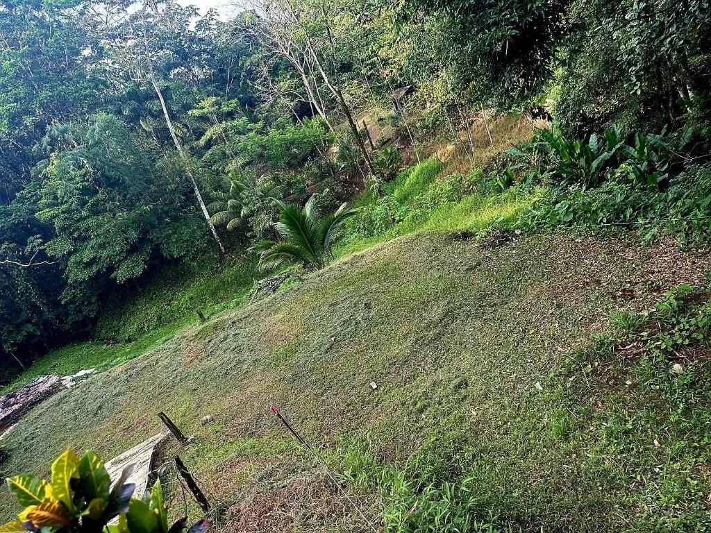 SE VENDE BELLA PROPIEDAD EN PEÑAS BLANCAS, SAN RAMÓN. en Costa Rica - Imagen 2
