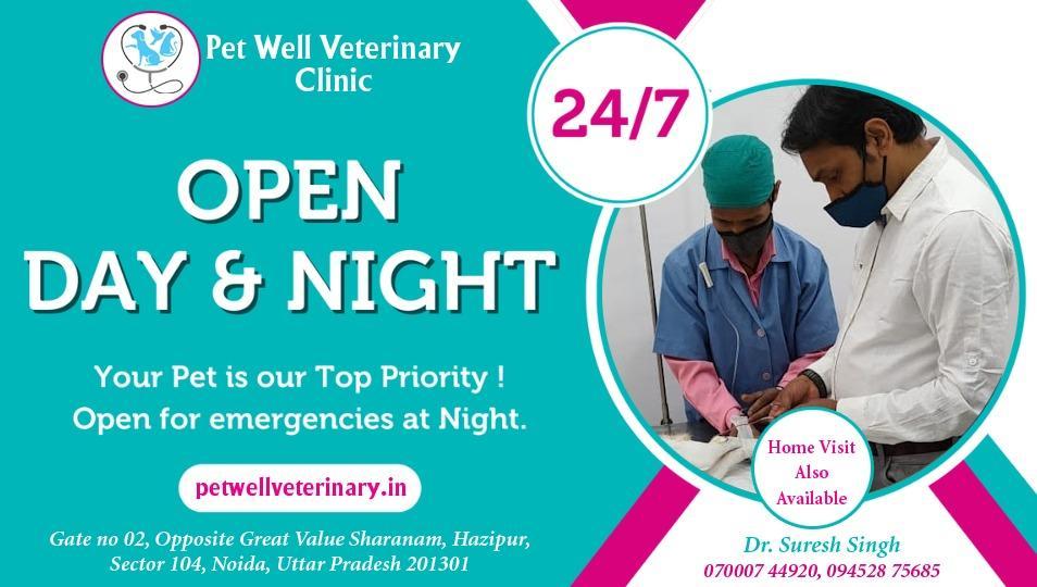 Veterinary Practice In Noida Sector 104 in Noida - Image 5