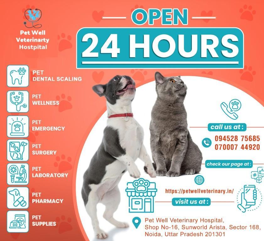 Veterinary Practice In Noida Sector 104 in Noida - Image 6