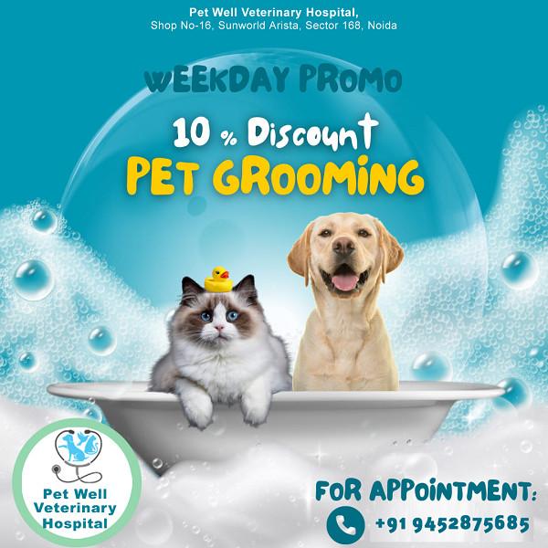 Veterinary Practice In Noida Sector 104 in Noida - Image 7