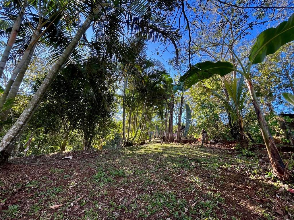 VENTA TERRENO EN PURISCAL en Grecia - Imagen 7