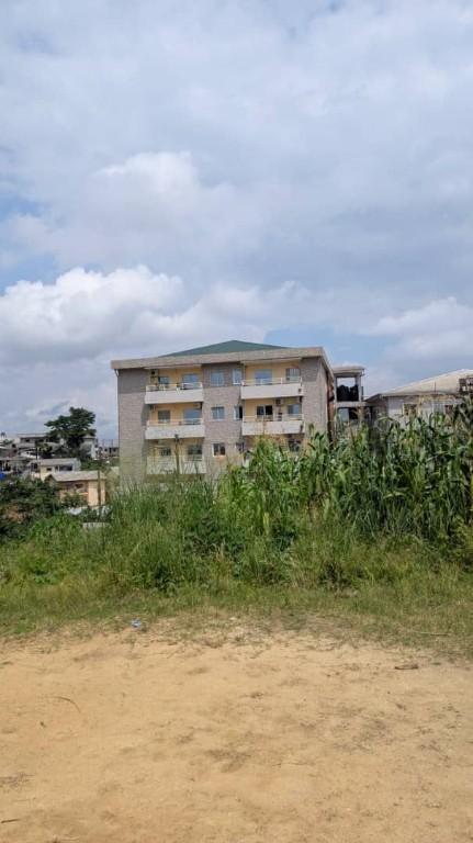 Terrain à vendre au Cameroun - Photo 2