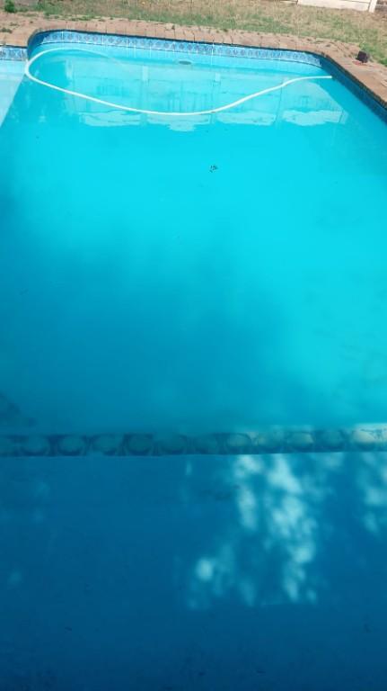 Reliable Pool Care Service - FLAT RATE R799 in Alberton - Image 1