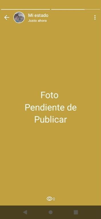 PLUMA DORADA CON CAMARA en México - Imagen 3