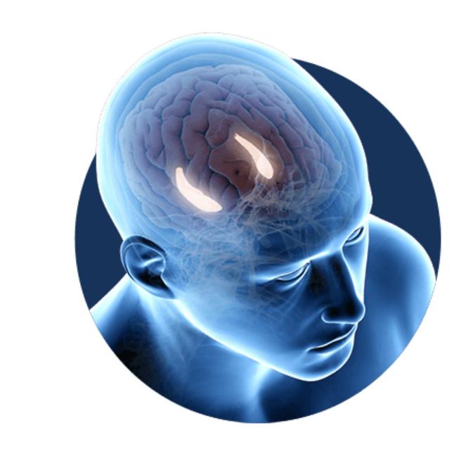 New Research Reveals , Brain Wave Ritual Attracts Money in India - Image 1