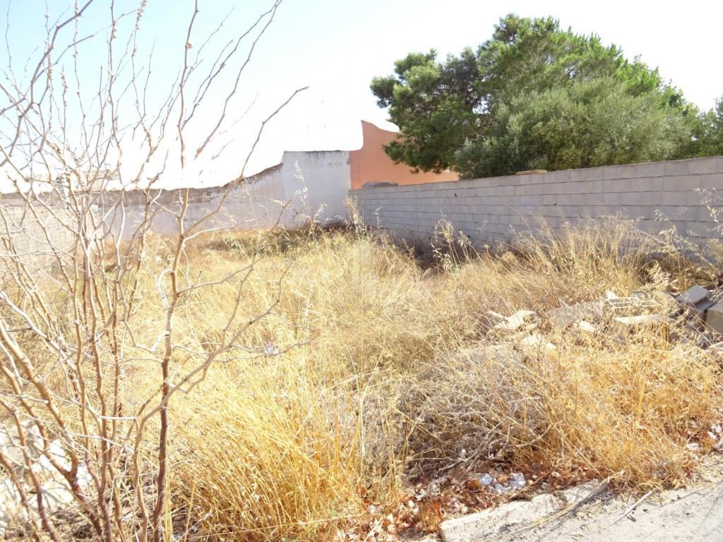 VENTA PARCELA TAVIZNA en Mazarrón - Imagen 1