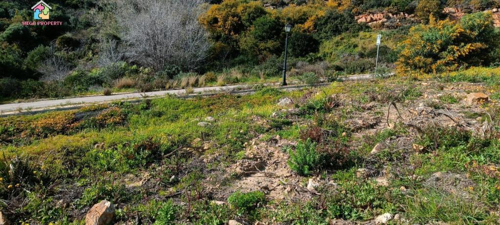 FINCA RÚSTICA EN VILLASEVIL en Estepona - Imagen 1