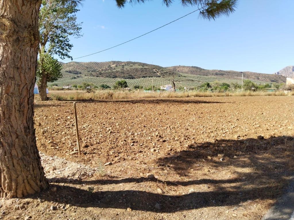 VENTA CASA CON PATIO EN VILLALUENGA DEL ROSARIO en Antequera - Imagen 1