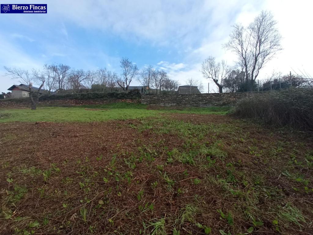 PARCELA RUSTICA CON LEGALIZACIÓN DE VIVIENDA en Ponferrada - Imagen 1