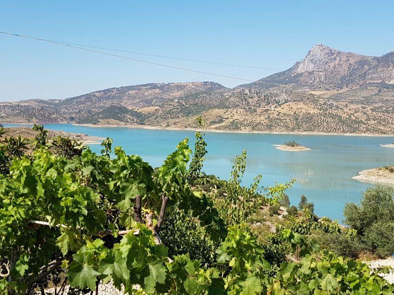 Parcela en Ronda - Imagen 1