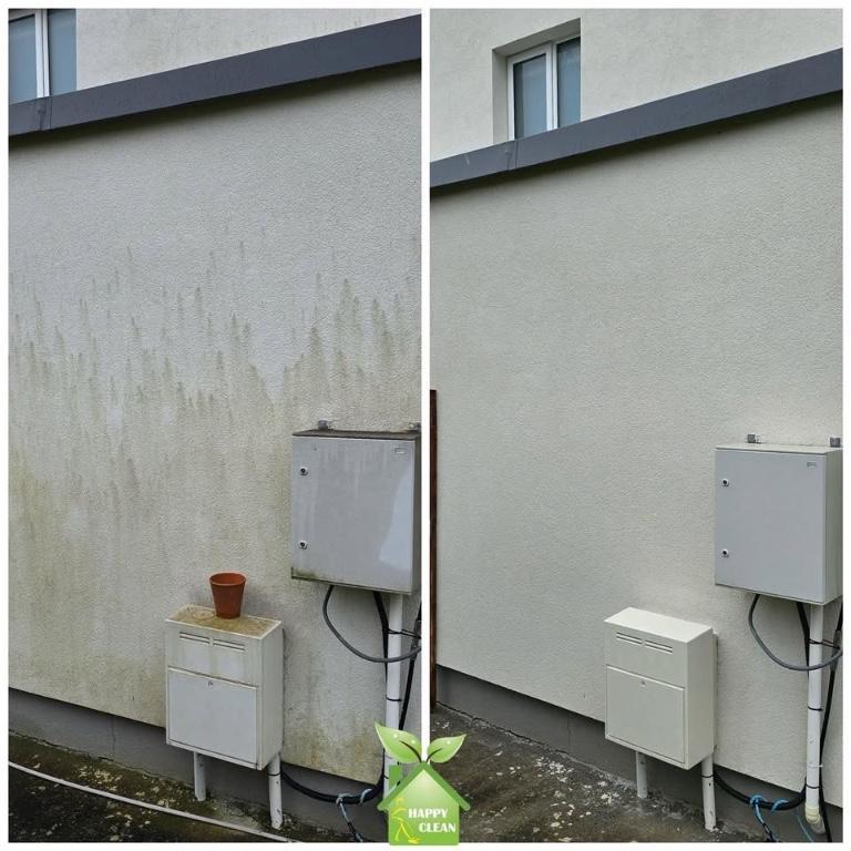 PROFESSIONAL EXTERIOR CLEANING in Swords - Image 2