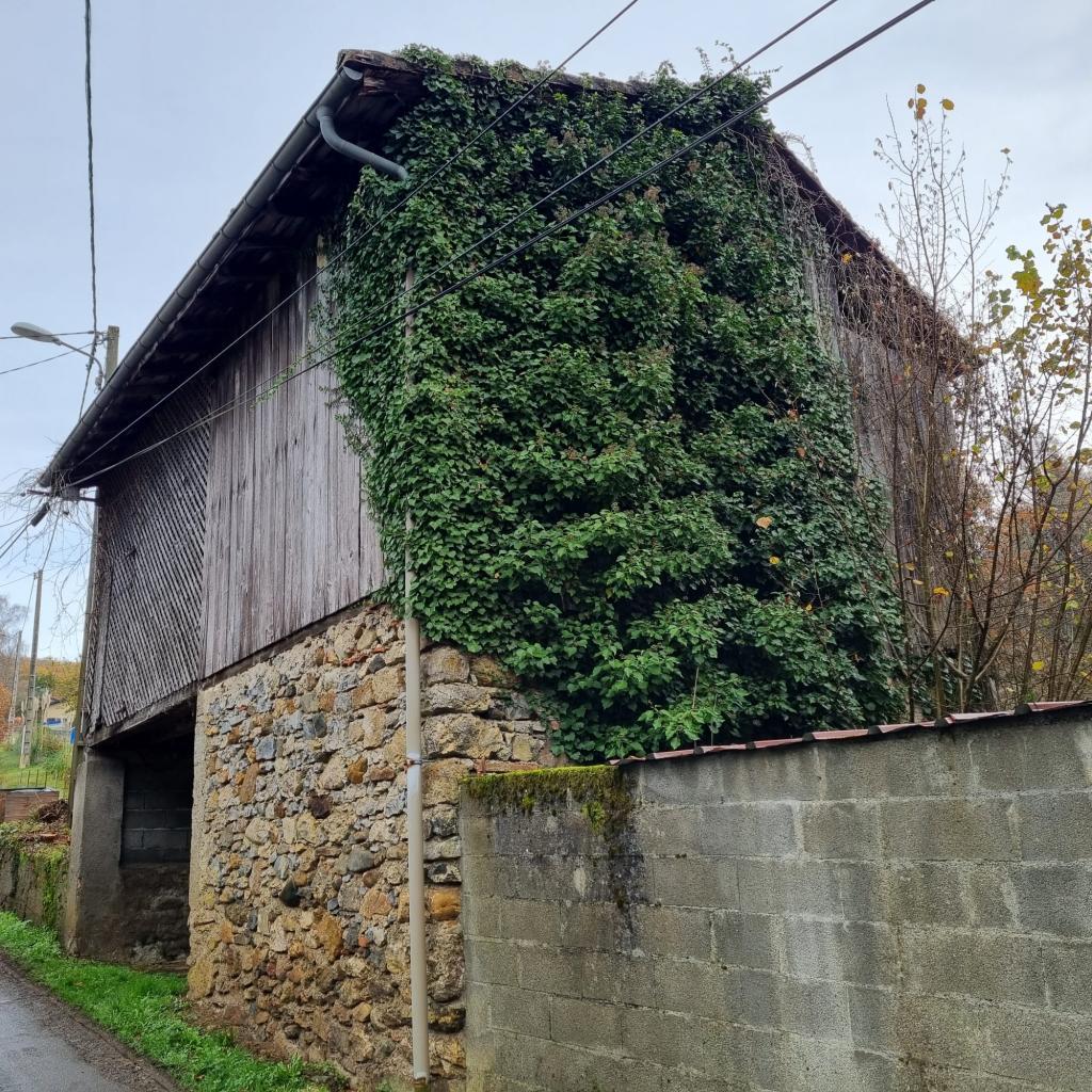 ASPET ENSEMBLE DE 2 GRANGES A RENOVER à Pau - Photo 1