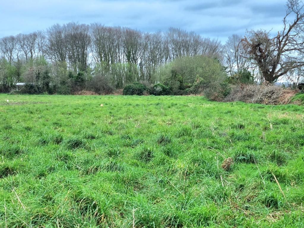 Terrain constructible proche PERROS GUIREC à Limoges - Photo 1