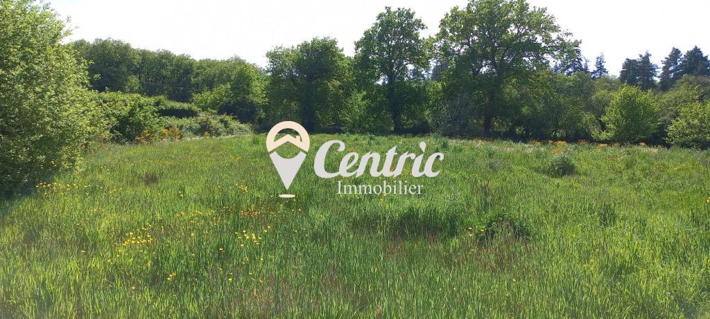 TERRAIN CONSTRUCTIBLE à Cholet - Photo 1