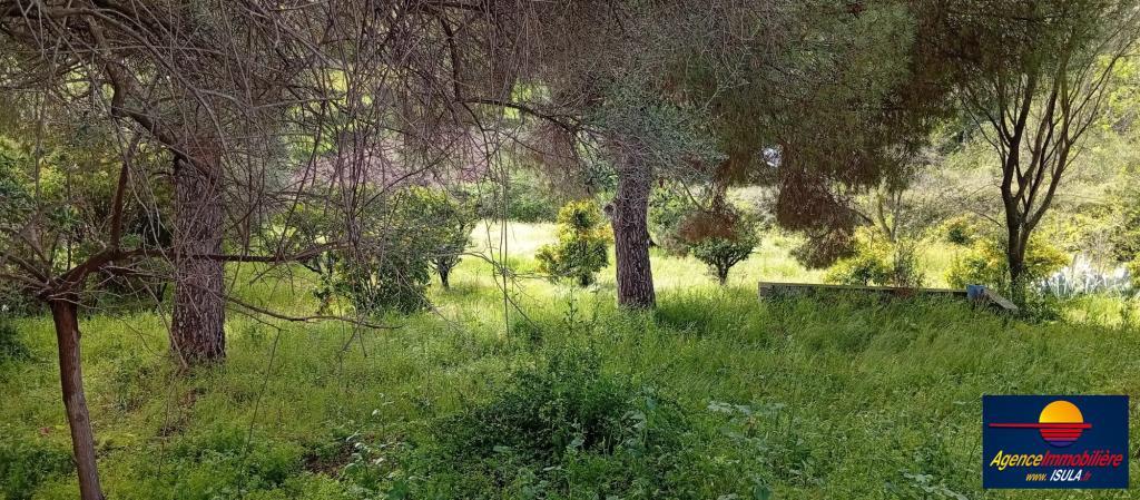 Terrain constructible à Ajaccio - Photo 1