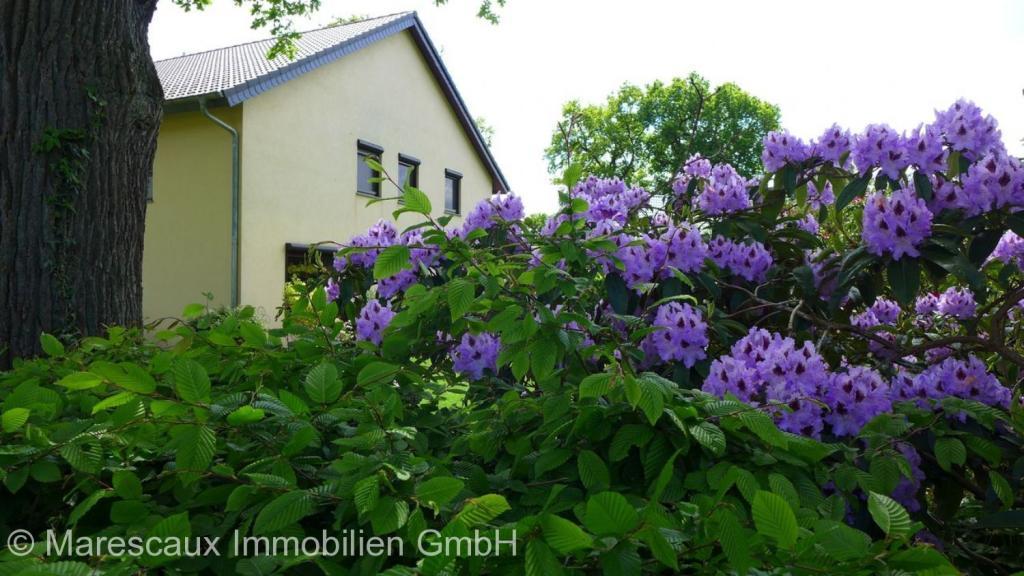 Zweifamilienhaus als Renditeobjekt Rendite 6% möglich in Delmenhorst - Bild 1