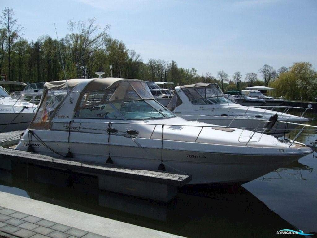 Sea Ray 310 Sundancer in Hamm - Bild 1