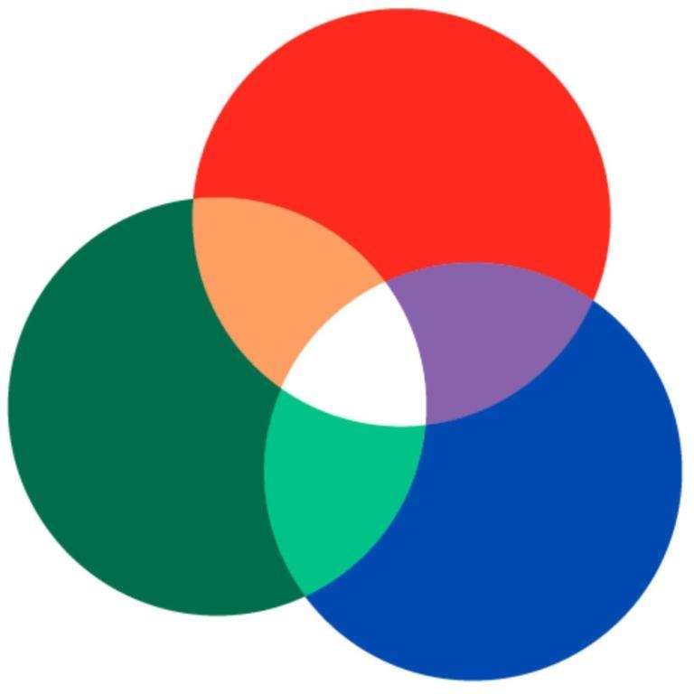 Project Manager in Teresa - Image 1