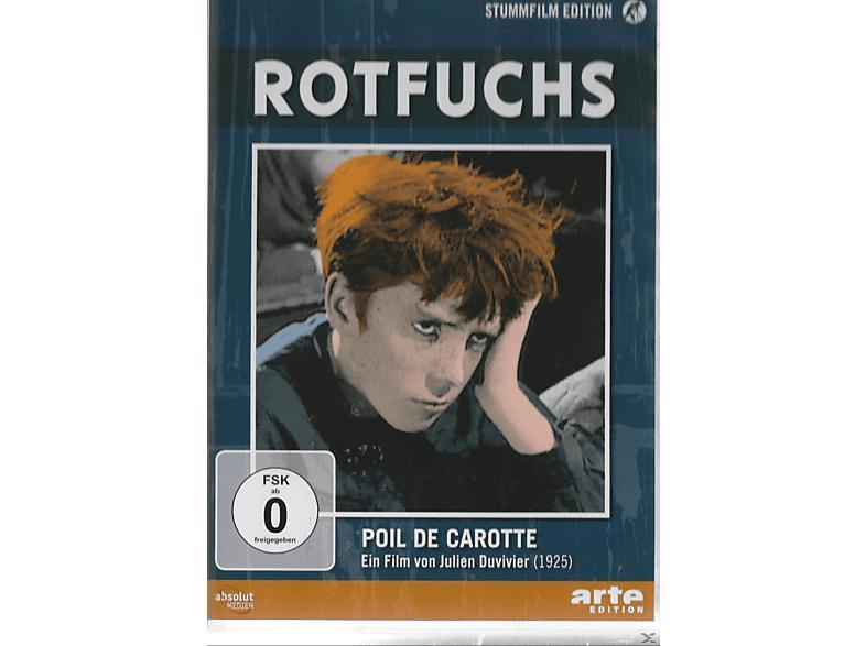 Rotfuchs DVD in Lübeck - Bild 1