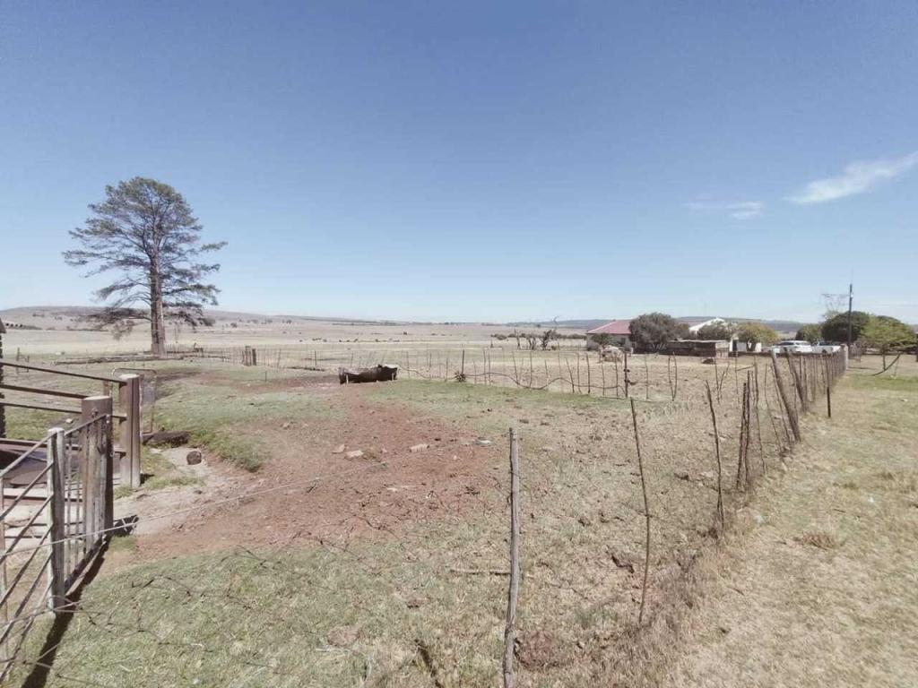 PRICE REDUCED!! WATER RICH 76 HECTARES FARM FOR SALE IN BALMORAL in Bronkhorstspruit - Image 1