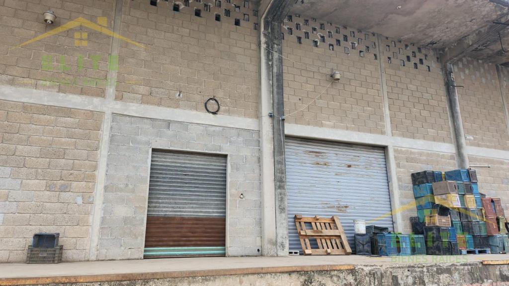 BODEGA INDUSTRIAL EN RENTA CENTRAL DE ABASTOS en Altamira - Imagen 1