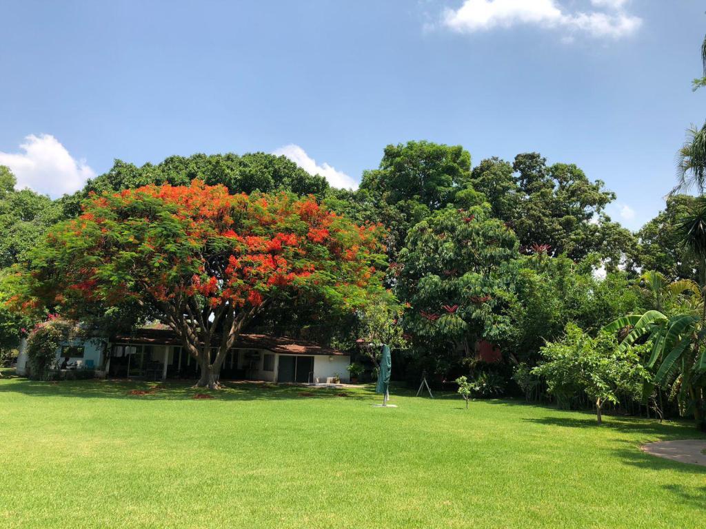 PRECIOSA CASA, UNA PLANTA en Yautepec - Imagen 1