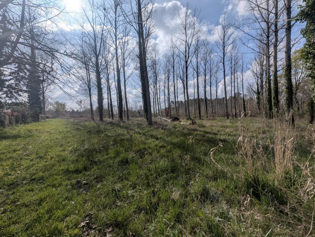 Terrain constructible à Saint-Médard-en-Jalles - Photo 1