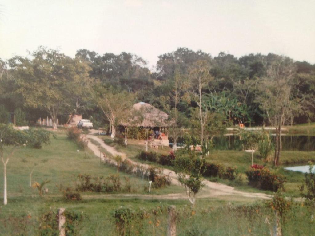Terreno a pie de carretera en venta cerca del aeropuerto y … en Palenque - Imagen 1