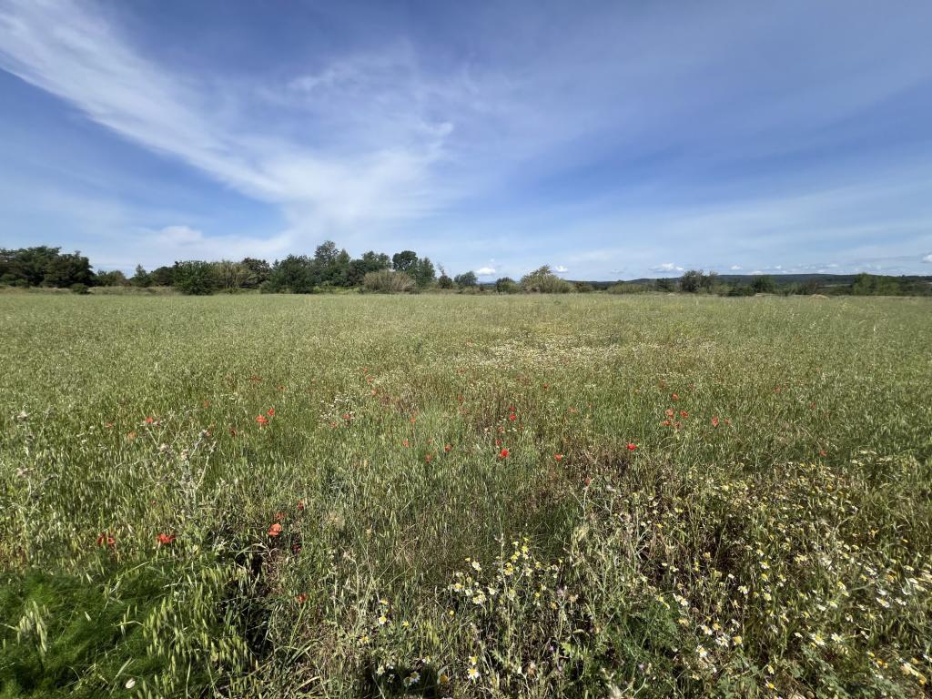 TERRAIN AGRICOLE à Narbonne - Photo 1