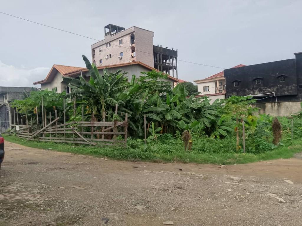 Terrain à vendre à makepe au Cameroun - Photo 2