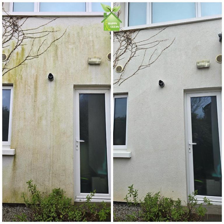 PROFESSIONAL SOFT WASHING in Swords - Image 1