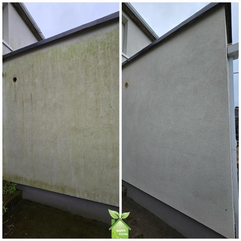 PROFESSIONAL SOFT WASHING in Swords - Image 3