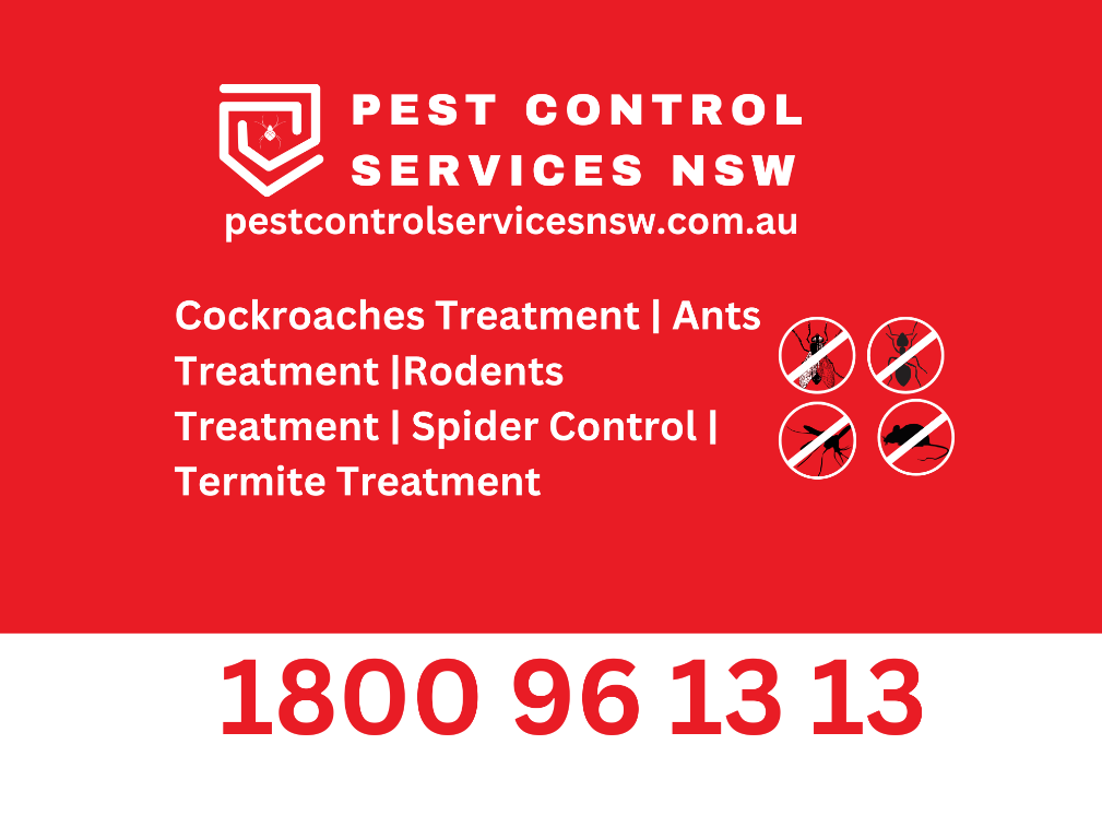Pest Control Liverpool in Sydney - Image 1