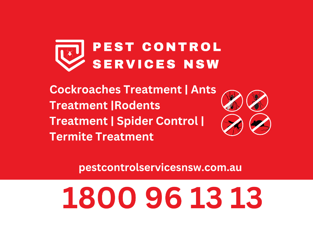 Affordable Pest Control in Sydney - Image 1