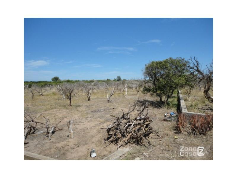 Finca Rustica Venta Algemesí en Carcaixent - Imagen 1