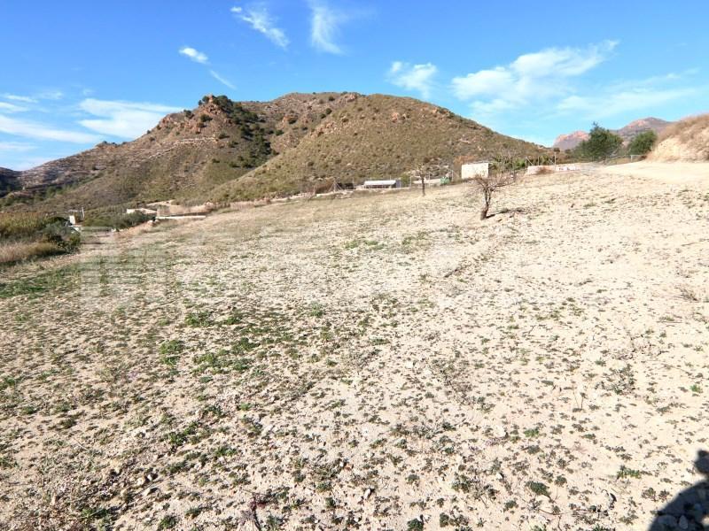 FINCA RUSTICA 80.000 en Mazarrón - Imagen 1